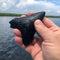 The Hunt for Giants: Diving for Megalodon Teeth in South Carolina