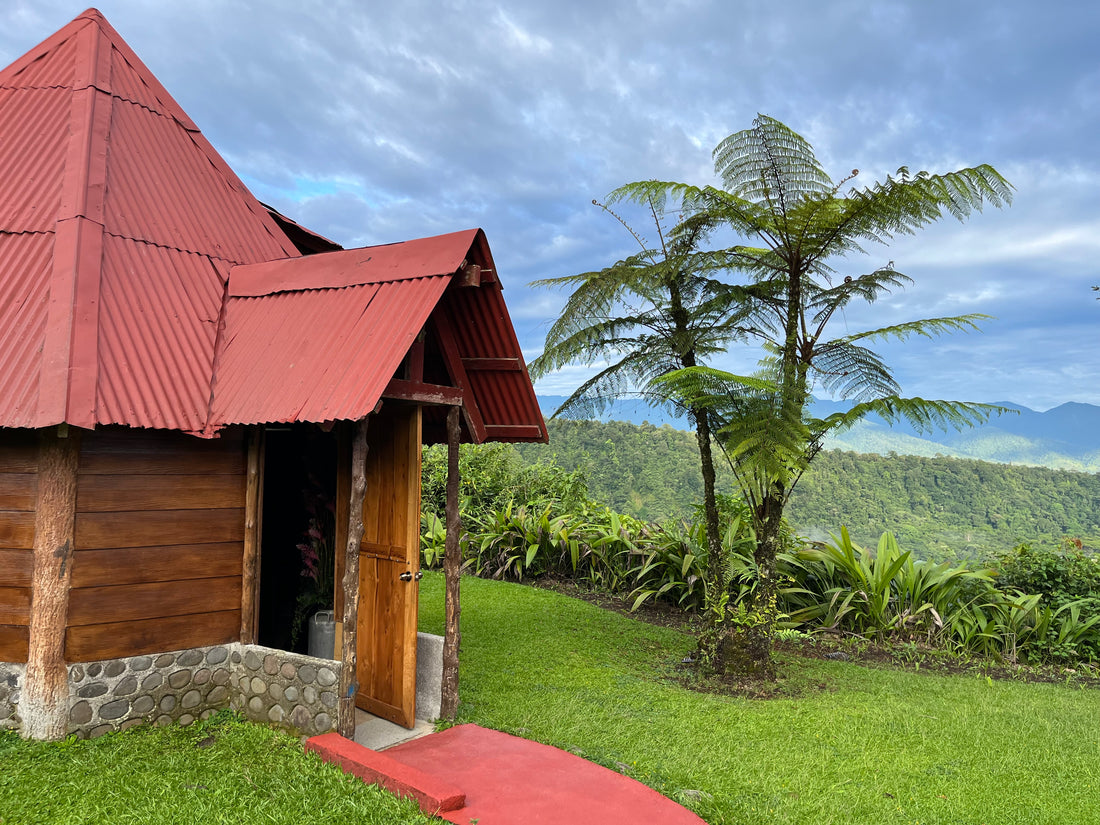 Eco-Adventure at Hotel y Mirador Bosque Alegre: A Hidden Gem Atop Costa Rica's Dormant Volcano