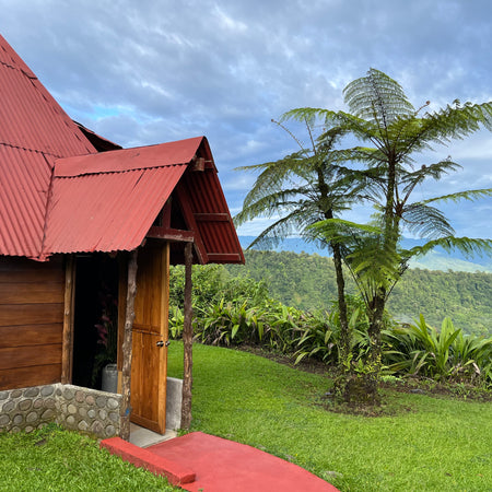 Eco-Adventure at Hotel y Mirador Bosque Alegre: A Hidden Gem Atop Costa Rica's Dormant Volcano