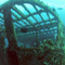 Wreck Diving: Exploring Cancun's Underwater Museums